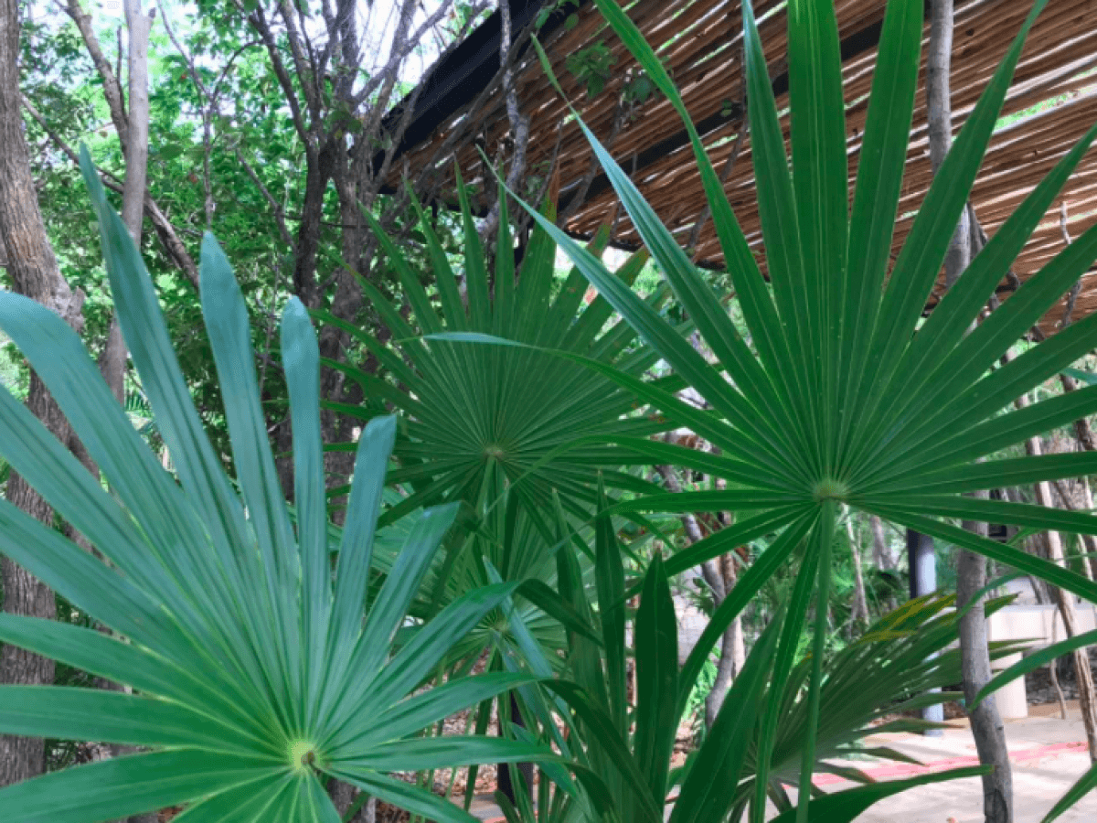 Apartment with Infinity Pool for Sale, Aldea Zam&aacute;, Tulum