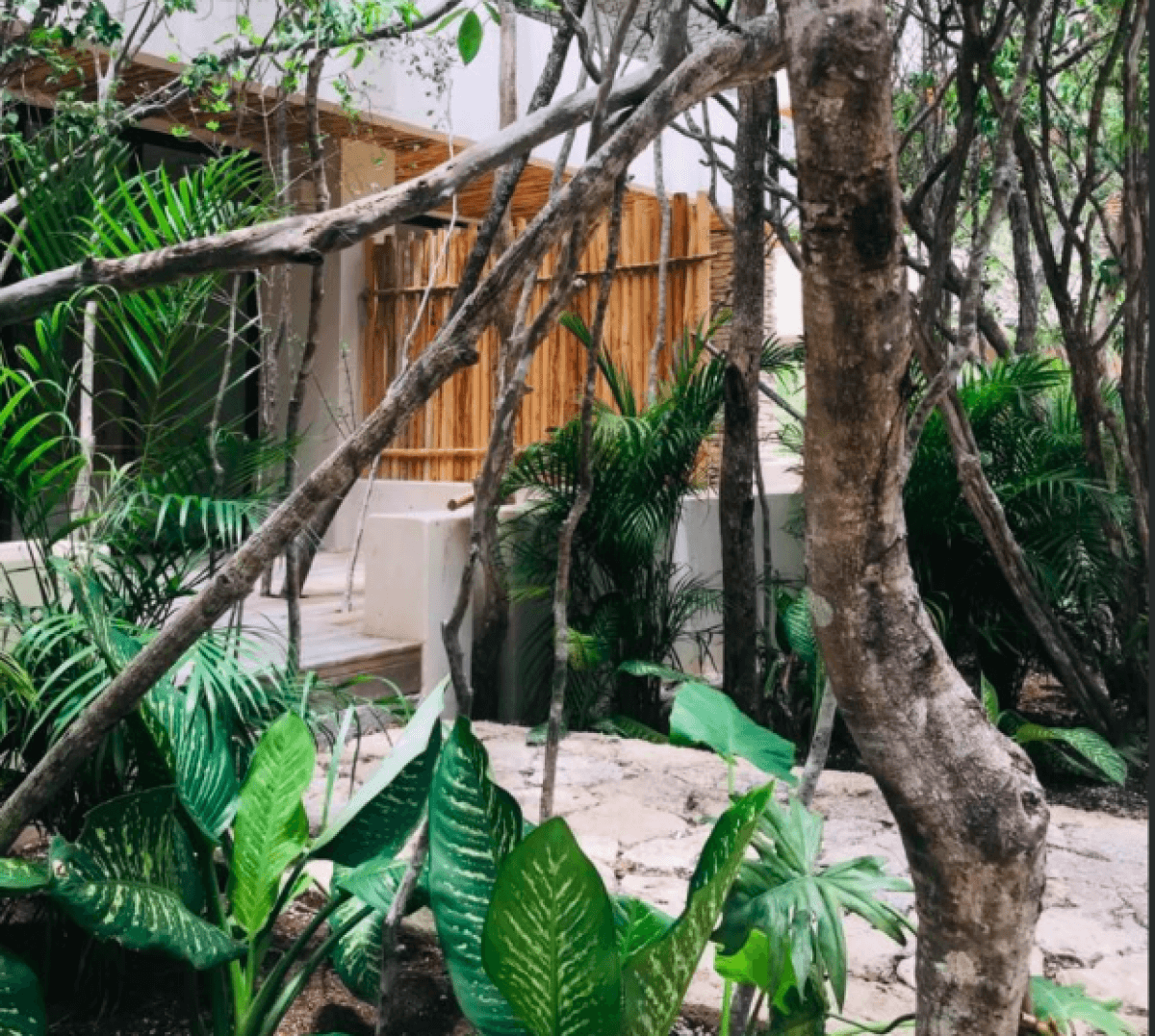 Condo with private pool surrounded by green areas in Tulum