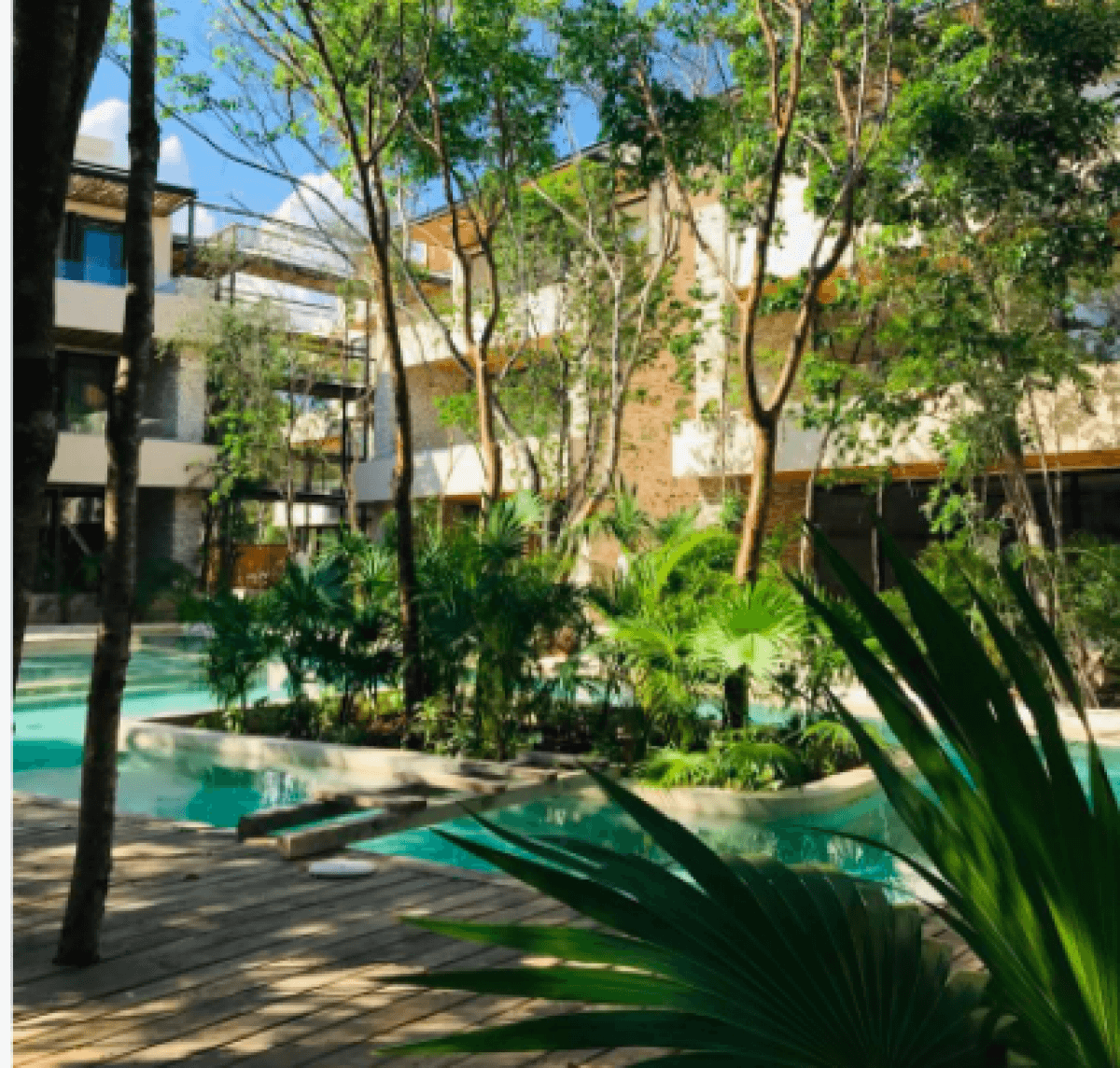 Penthouse with private pool, common oceanview rooftop, for sale, Region 8, Tulum.