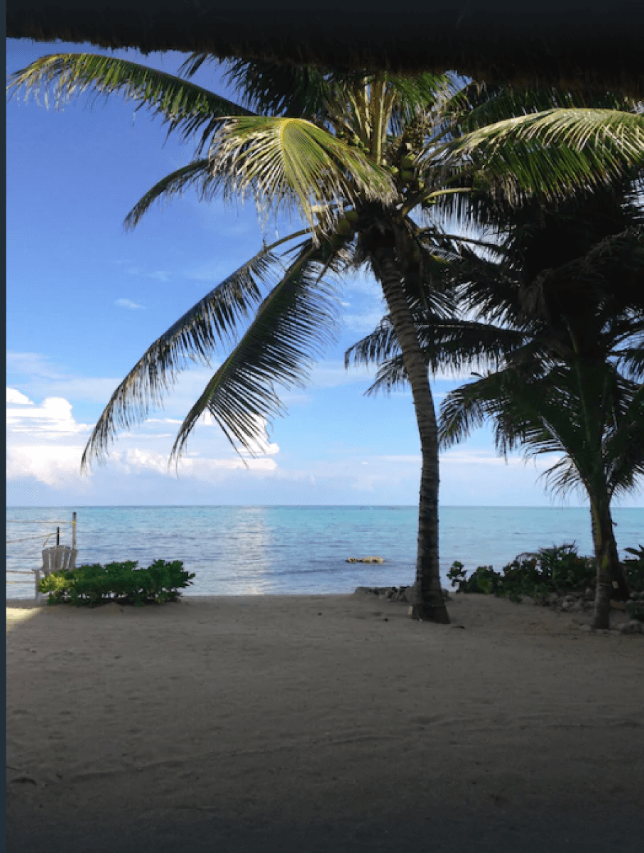 House with private pool, sun deck, and garden for sale in Aldea Zama, Tulum