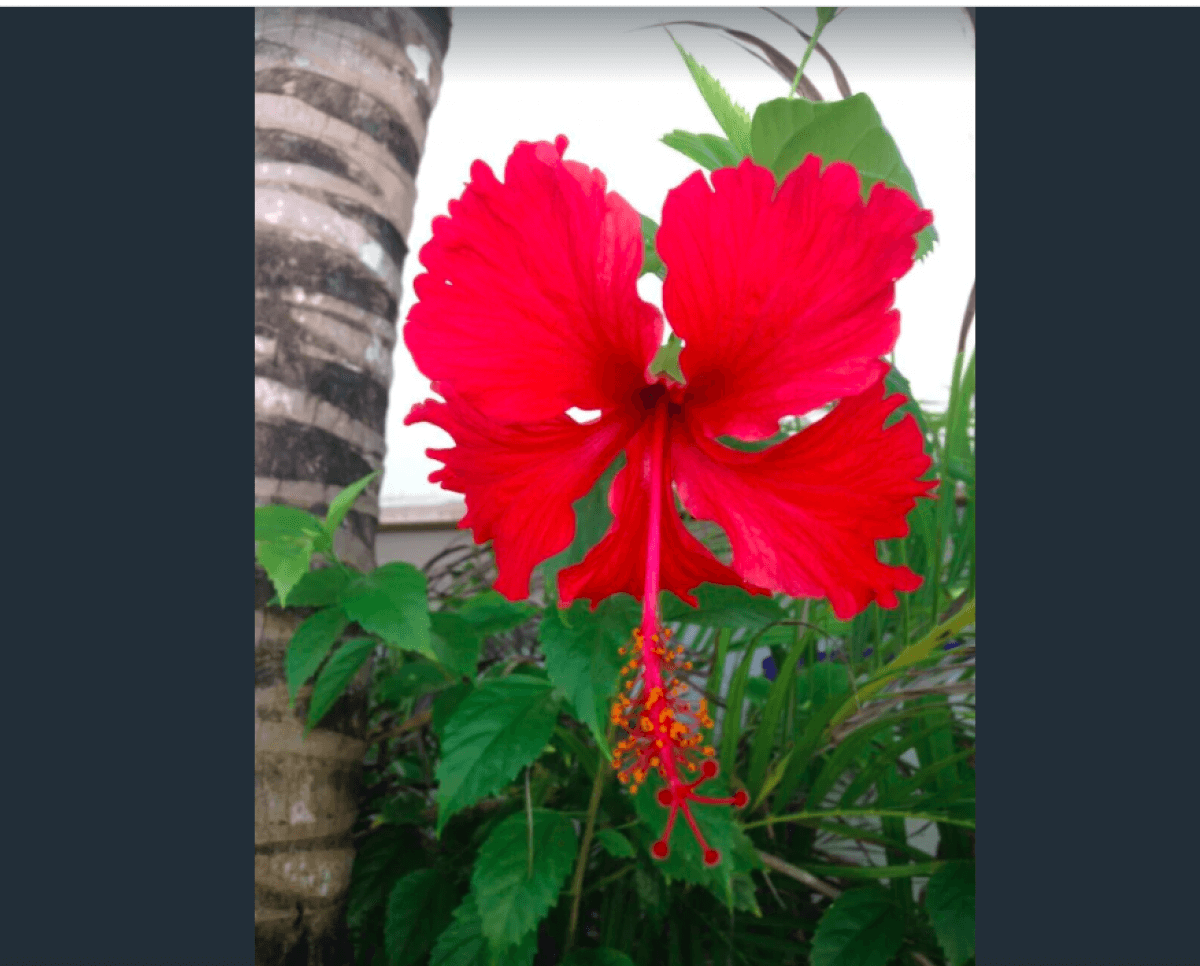 House with private pool, sun deck, and garden for sale in Aldea Zama, Tulum