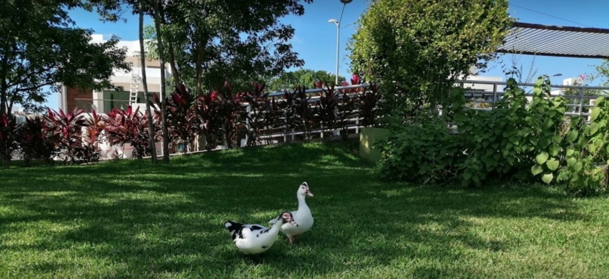 House with Private Pool, For Sale, Residencial Rio, Huayac&aacute;n, Canc&uacute;n