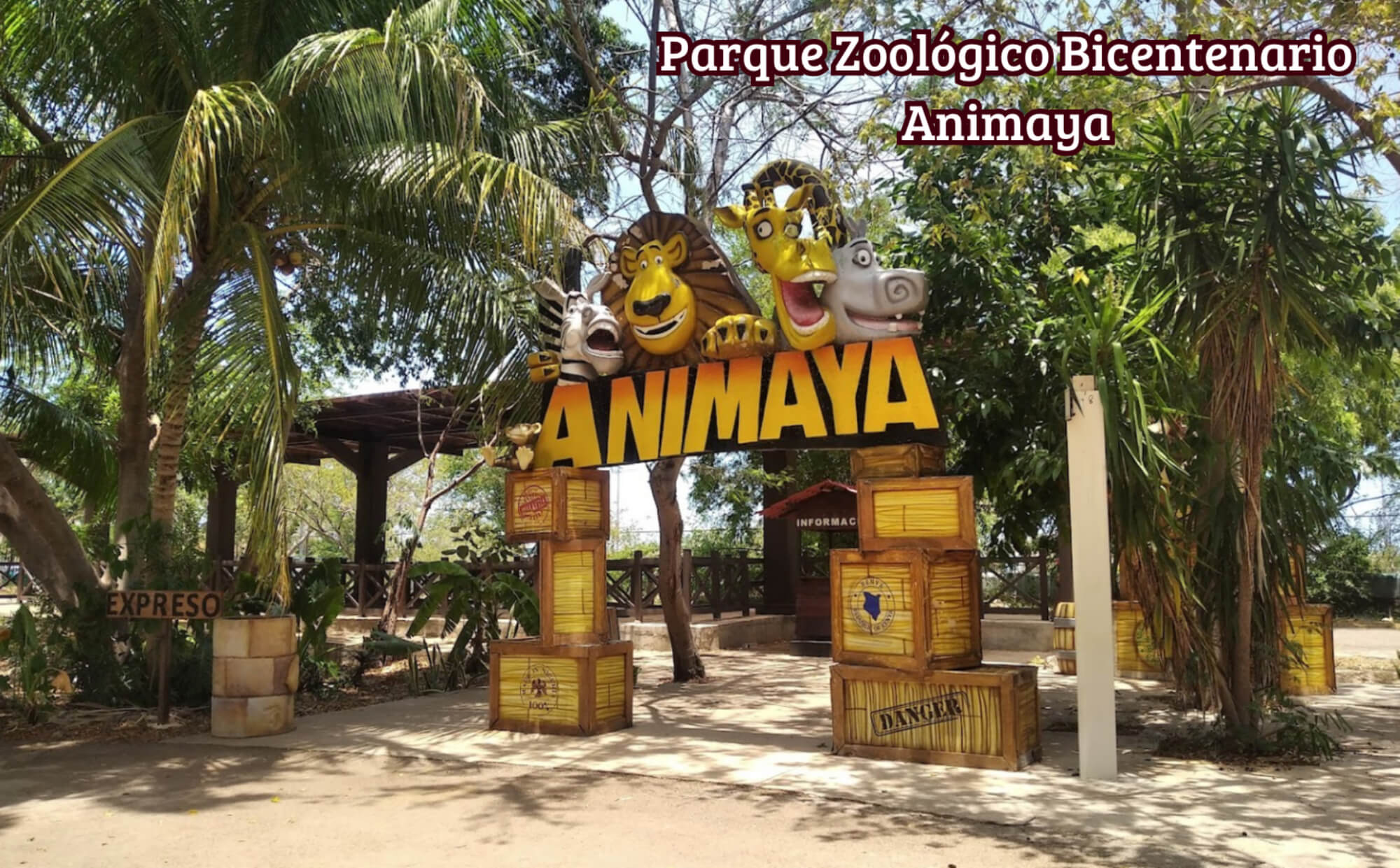 Apartment with garden, terrace, pool, gym for sale in Merida Centro.