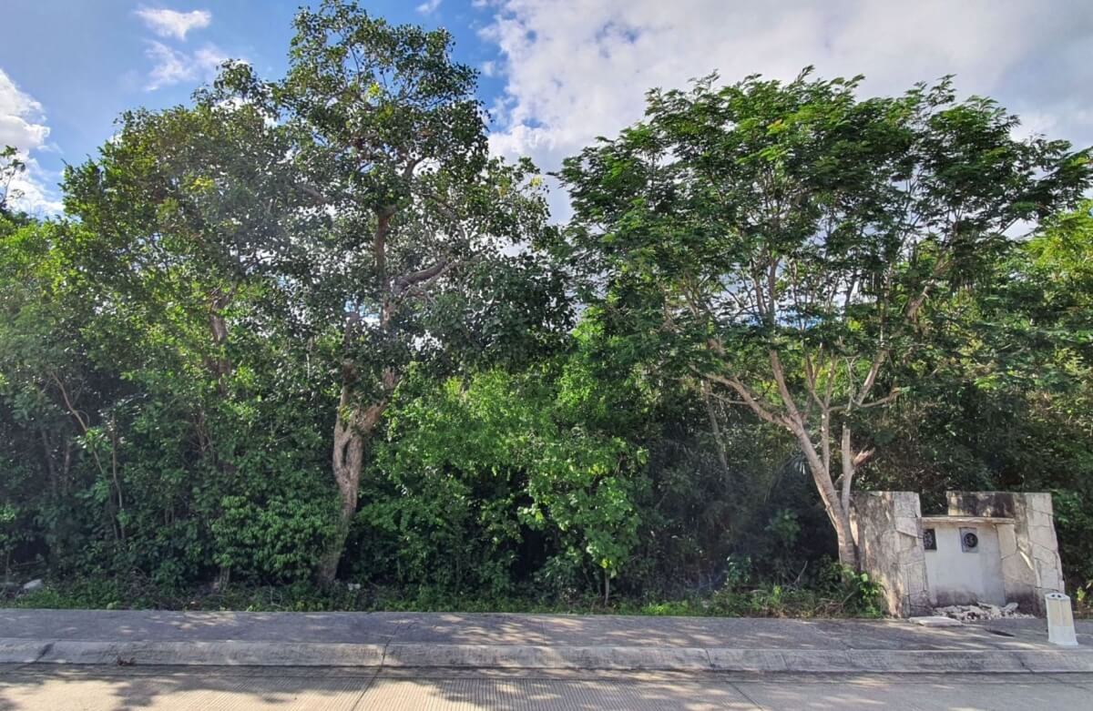 343 sqm residential land with pool in a gated community, Tulum.