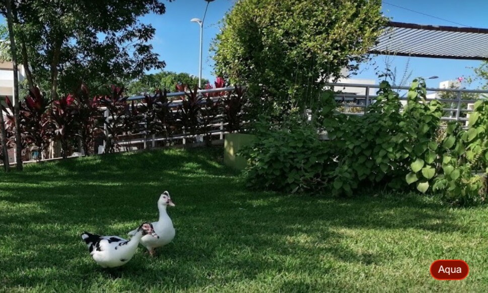 House with Private Pool, For Sale, Residencial Rio, Huayac&aacute;n, Canc&uacute;n