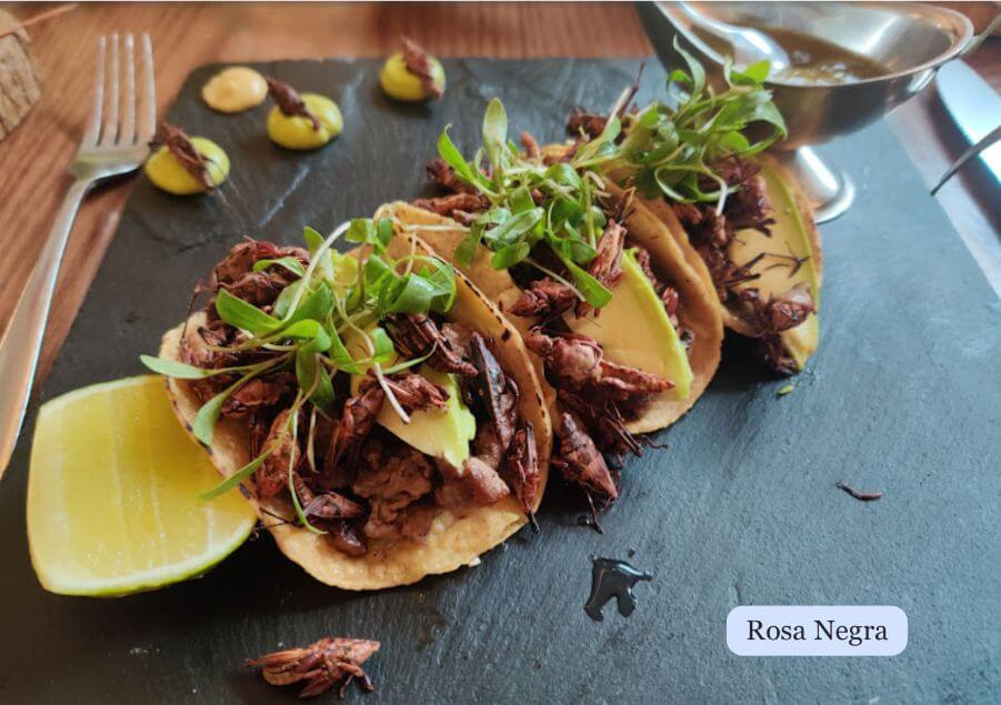 Departamento 3 recamaras, mas estudio y family room, cuarto de servicio con ba&ntilde;o, cine, spa, juegos para ni&ntilde;os, cuarto de juegos, alberca, c