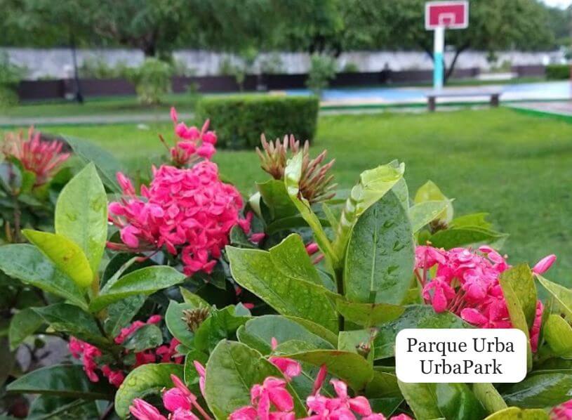 Lot 5 minutes from the beach, near the airport, 960 m2 for sale in Urba neighborhood, Cozumel.