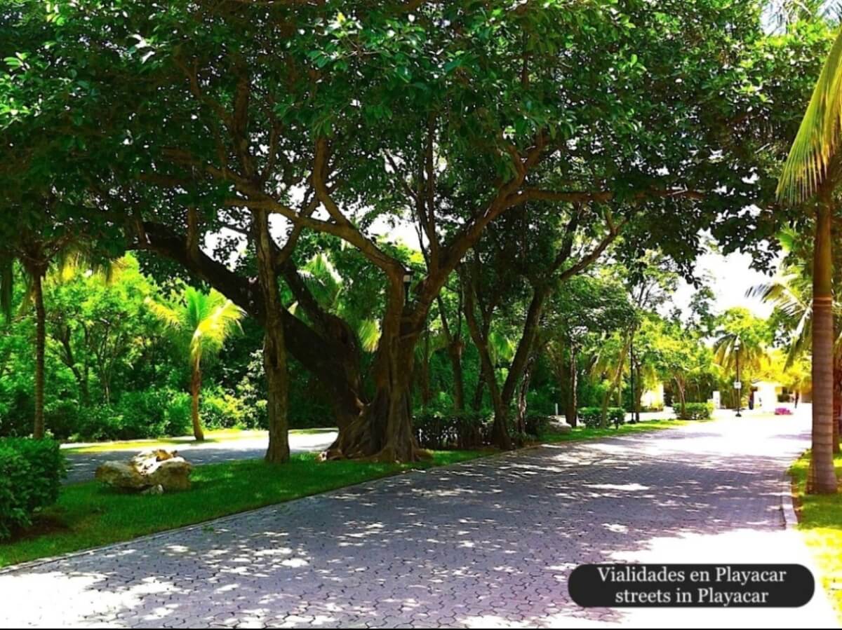Ocean view condo, pool, 350 meters from the beach, pool, art gallery, unique design, roof garden with jacuzzi, for sale in Playa del Carmen.