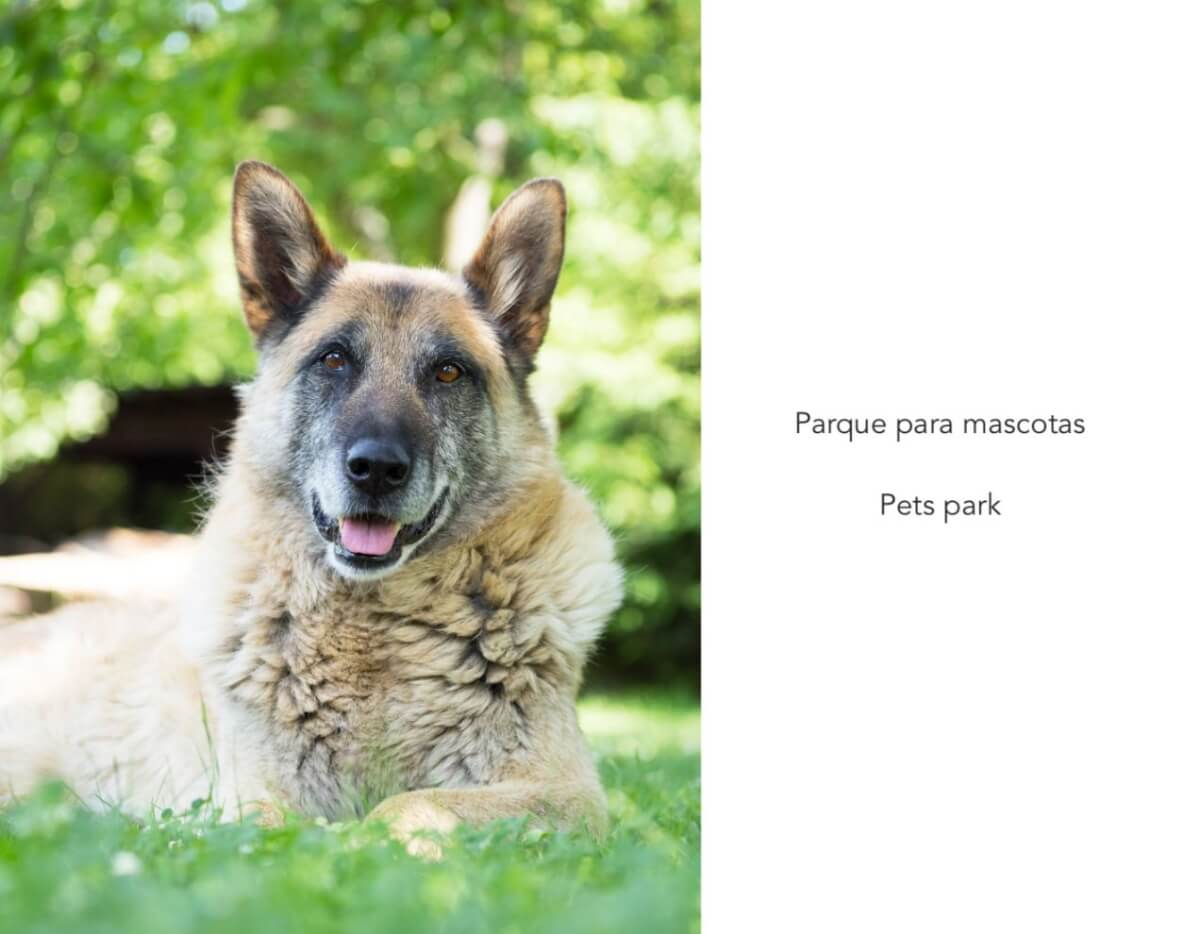 Apartment with lock-off and plunge pool for sale, Downtown, Playa del Carmen.