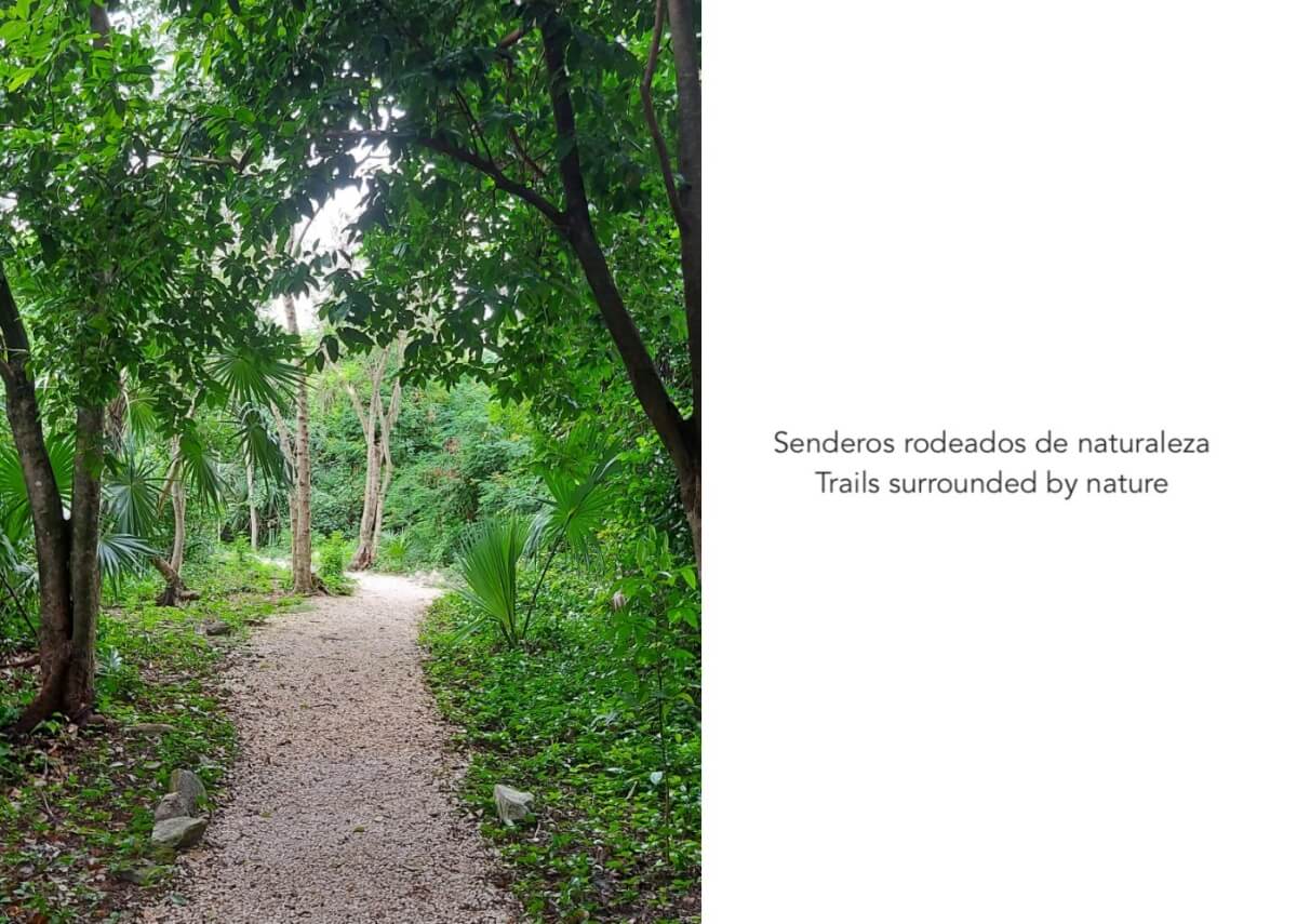 Departamento de 324 m2, con jardin, cenote, alberca, a 400 metros de la playa, en campo de golf, pre-construccion-venta Playacar