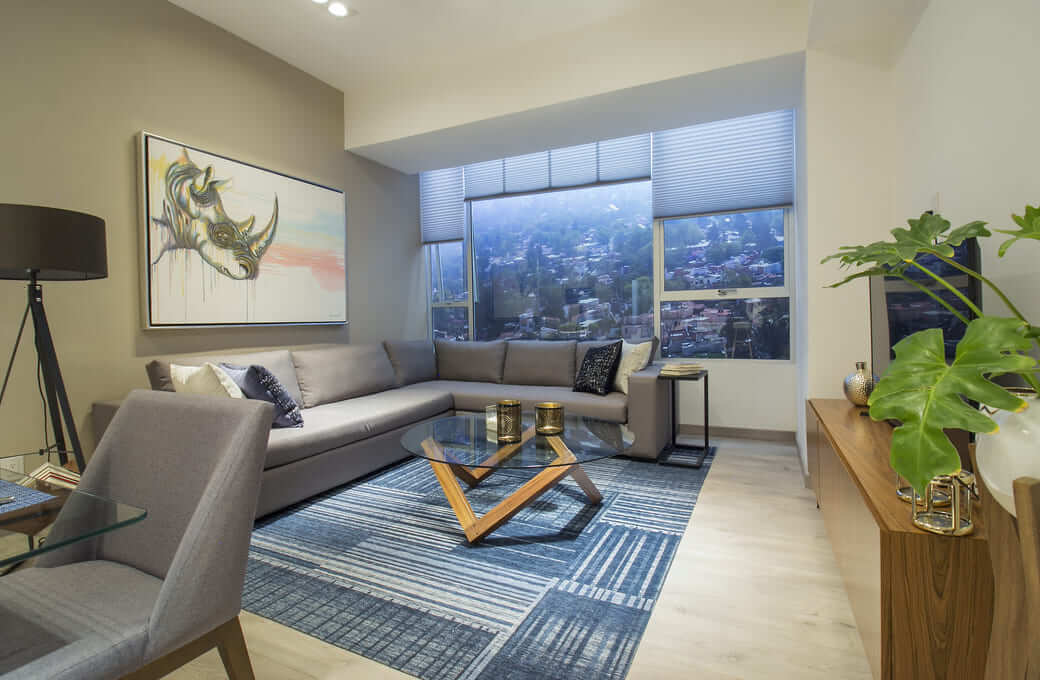 Apartment with balcony, common roof garden and laundry area, Miguel Hidalgo, Mexico City.