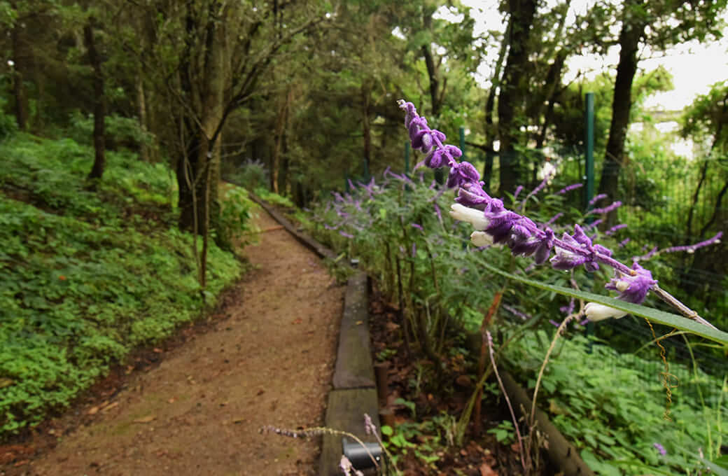 Condo with 2 terraces, jacuzzi, pool, pet zone, for sale Interlomas Mexico City