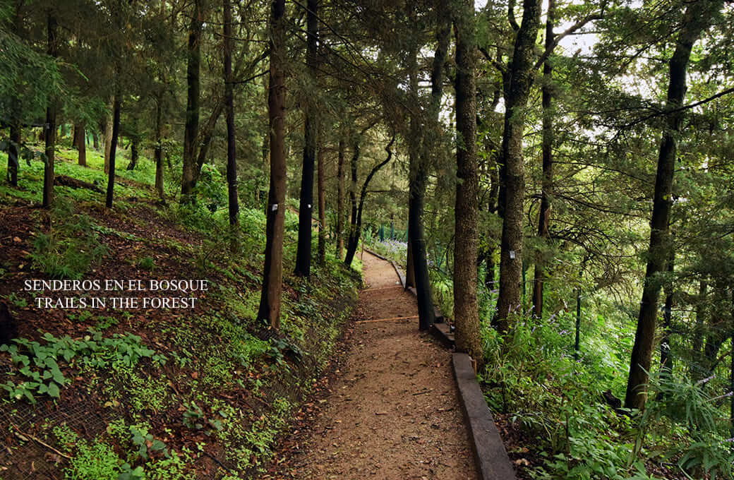 Departamento con cine, alberca, gimnasio con spinning room, vista al campo de golf, cuarto de servicio, amenidades para toda la familia, pre