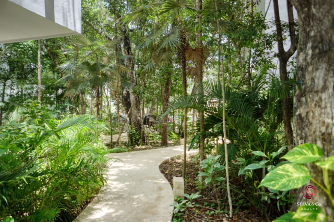 Penthouse con alberca para adultos en rooftop y bar, area de asadores, alberca familiar, spa, co-working, gimnasio, pre-construccion en vent