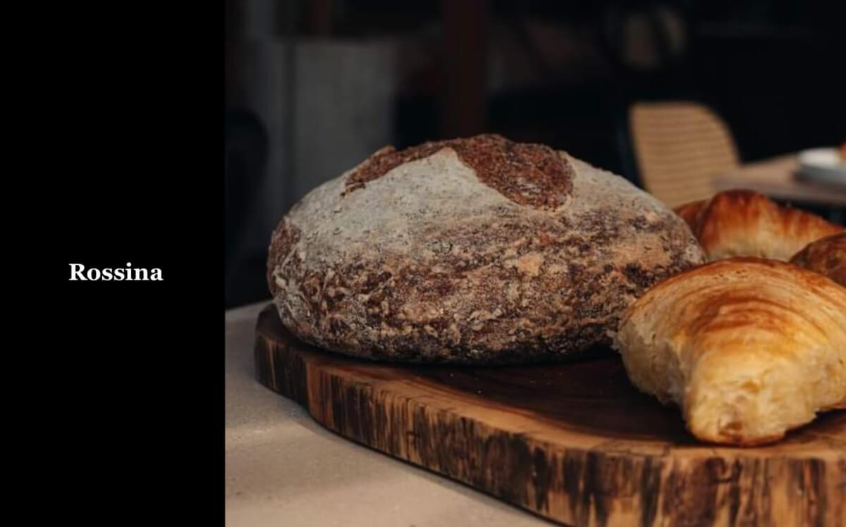 Penthouse con alberca para adultos en rooftop y bar, area de asadores, alberca familiar, spa, co-working, gimnasio, pre-construccion en vent