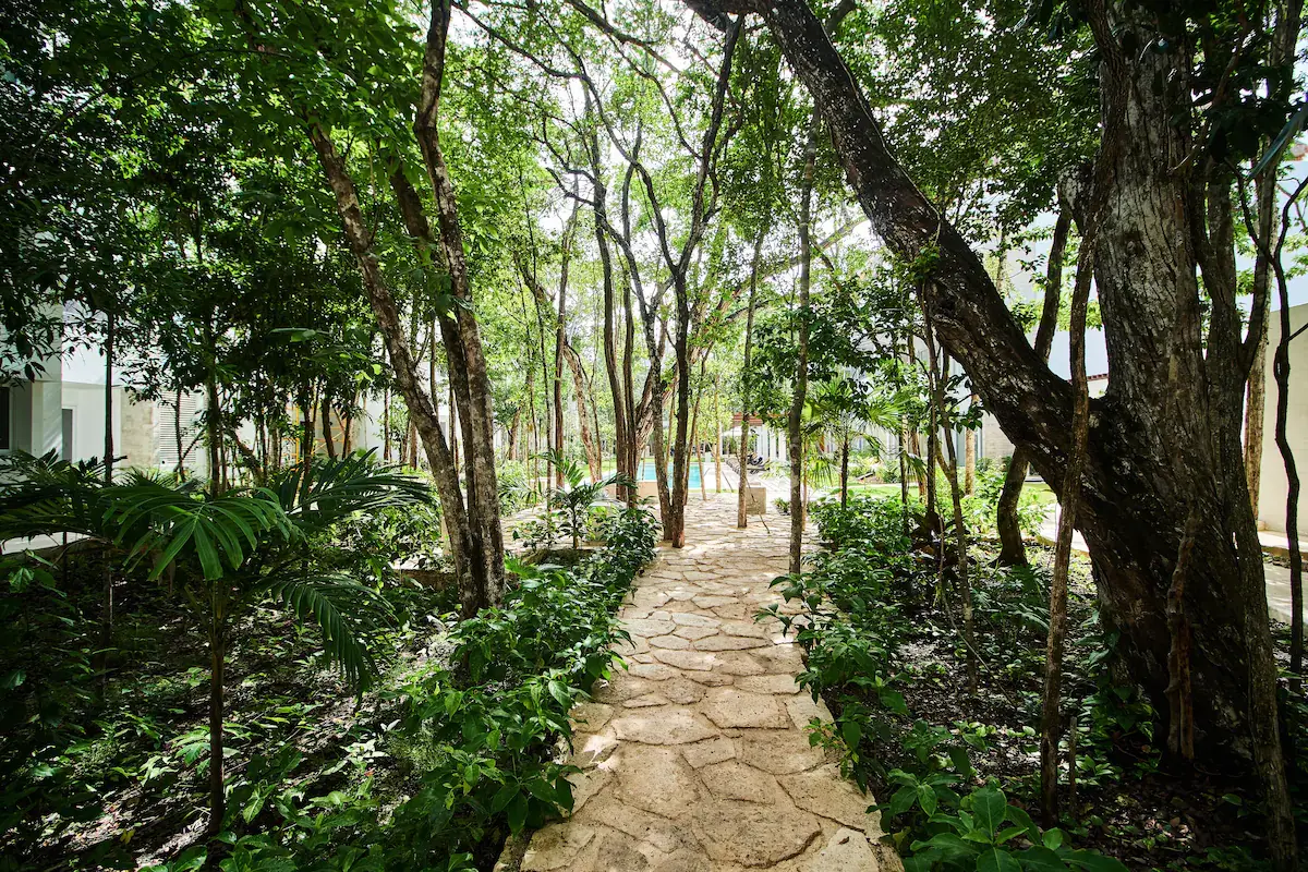 Penthouse con alberca para adultos en rooftop y bar, area de asadores, alberca familiar, spa, co-working, gimnasio, pre-construccion en vent