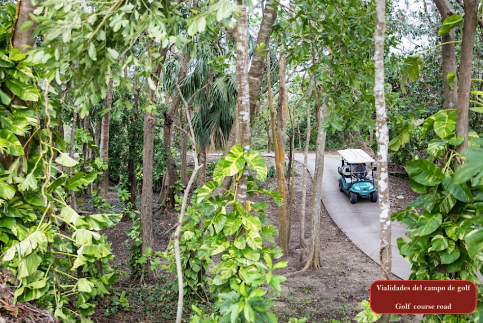 Beachfront condo, ground floor. spa, beach club, gym, for sale in Playa del Carmen.