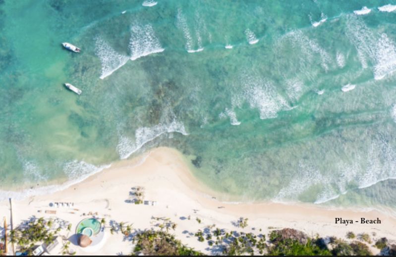 Beachfront condo, ground floor. spa, beach club, gym, for sale in Playa del Carmen.