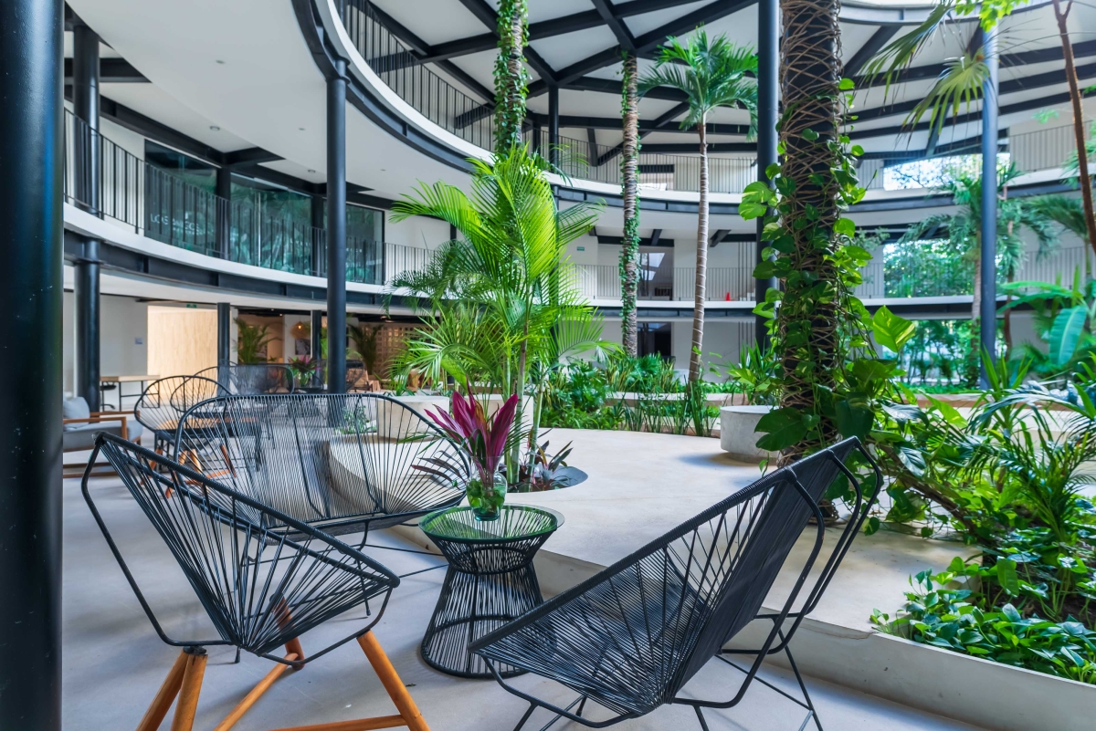 Departamento con alberca privada y terraza envolvente 180 grados, bioarquitectura, alberca salina, coworking, jardin zen, paneles solares,