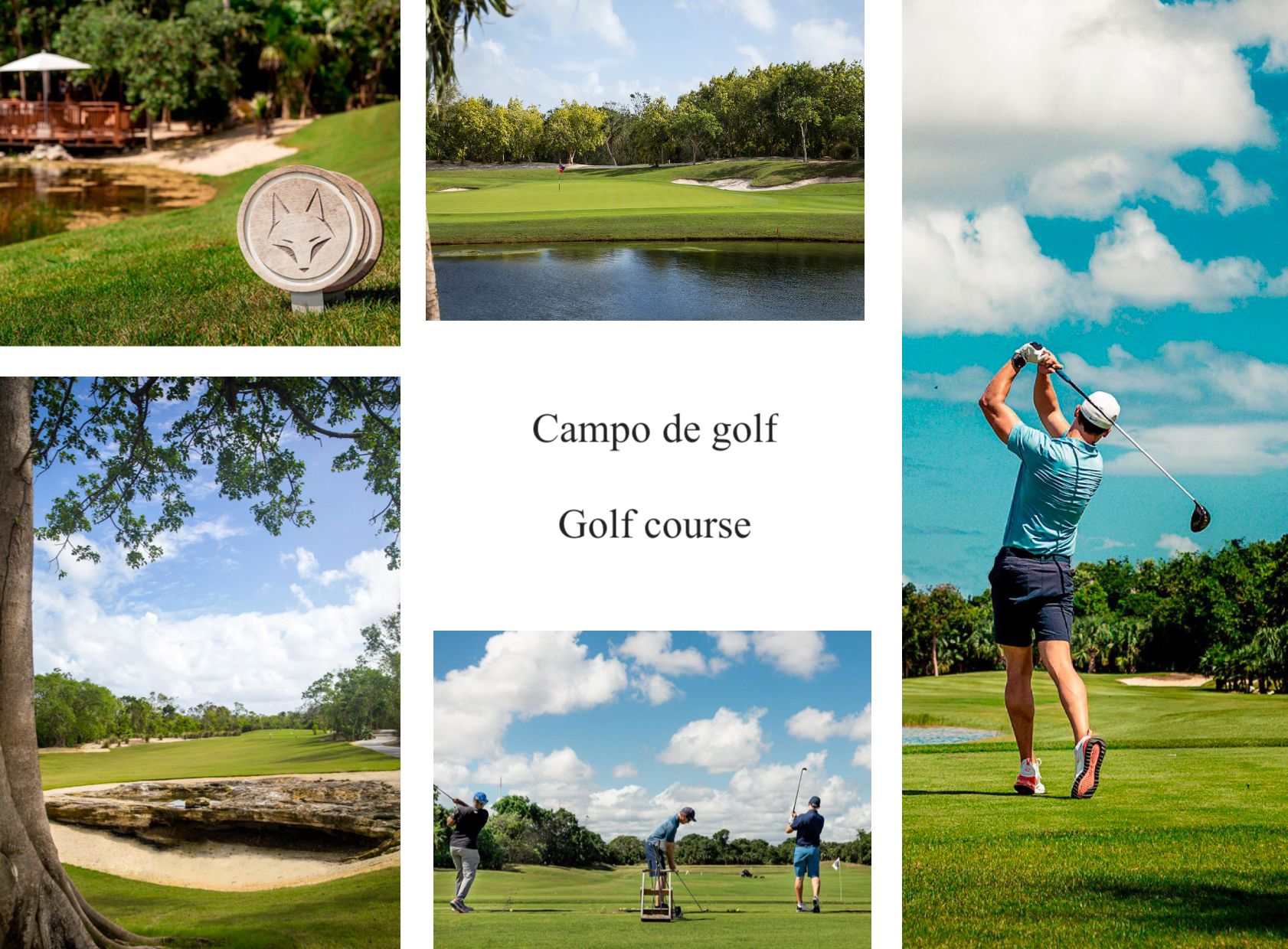 Land in Corasol, with beach club, golf course, club house, parks, orchard, concierge, spa, pet park, and more amenities for sale Playa del C