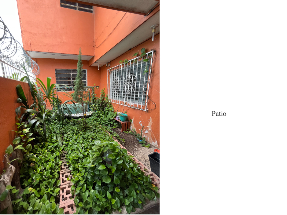 Corner house with garden and private terrace, 12 minutes from the beach, Avenue 11th, for sale. Cozumel.