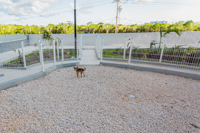 Apartment for sale with amenities, swimming pool, gym, yoga area, bbq area, coworking area, childrens play area and many more activities