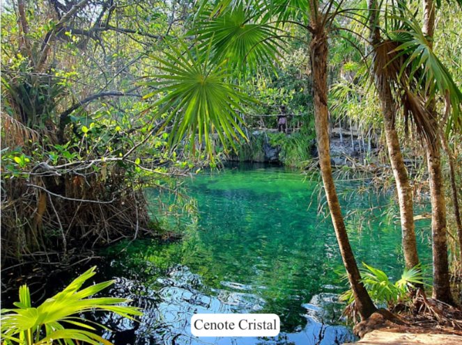Loft with private pool, common oceanview rooftop, for sale, Region 8, Tulum.