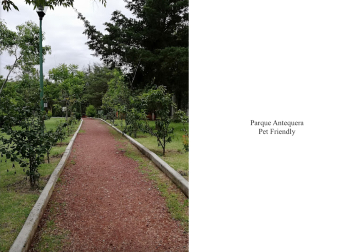 Condominium with more than 40 amenities, for sale pre-construction Interlomas