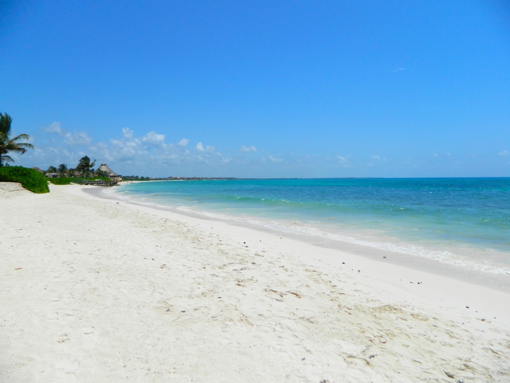 Incre&iacute;ble departamento con terraza privada y vista a la alberca &ndash; Ejido, Playa del Carmen