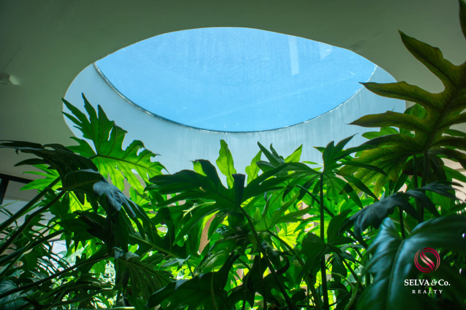 Studio with terrace, grill and private outdoor dining area, eco technology, electric bicycles, spa, 700 m2 of swimming pools