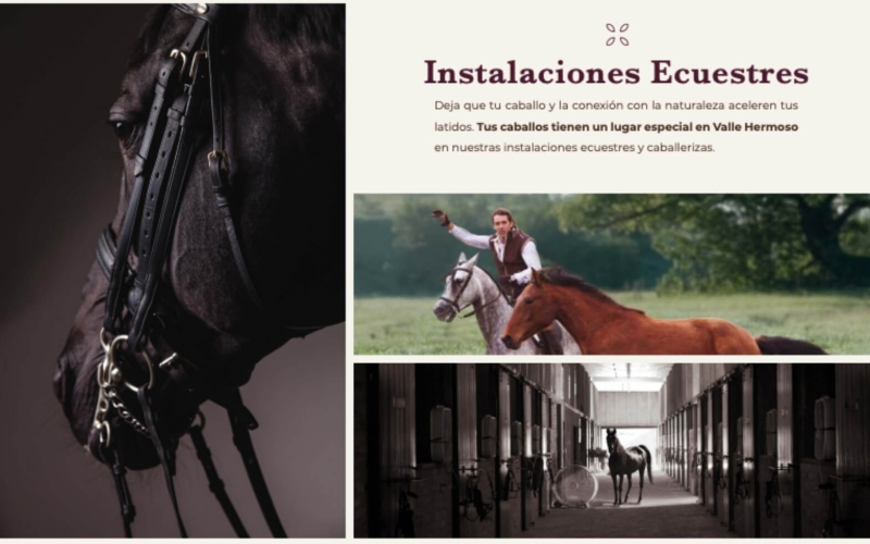 10,952 m2 lot with, heliport, lake, stables and more sale San Miguel de Allende