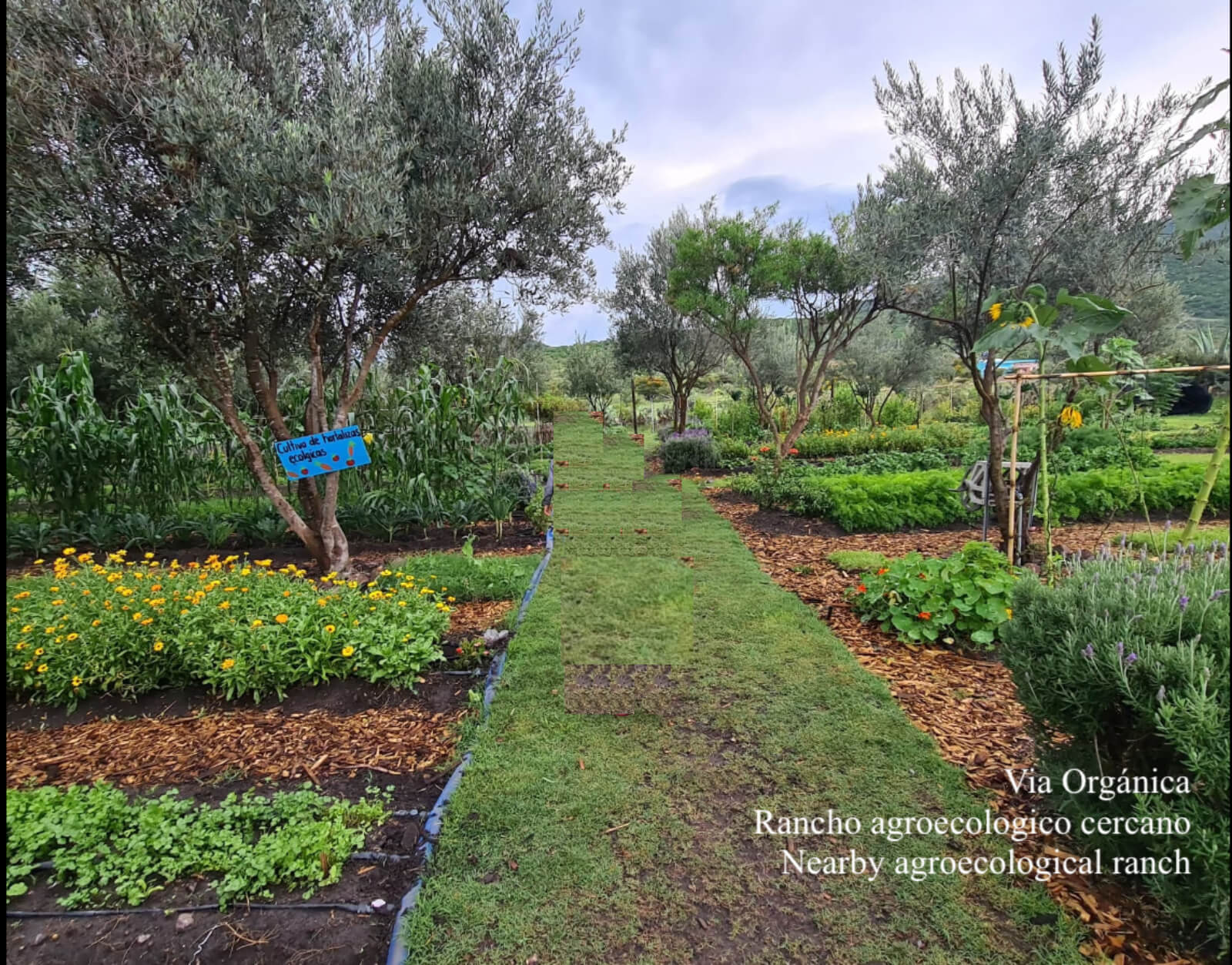 9,109 m2 lot with, heliport, lake, stables and more sale San Miguel de Allende