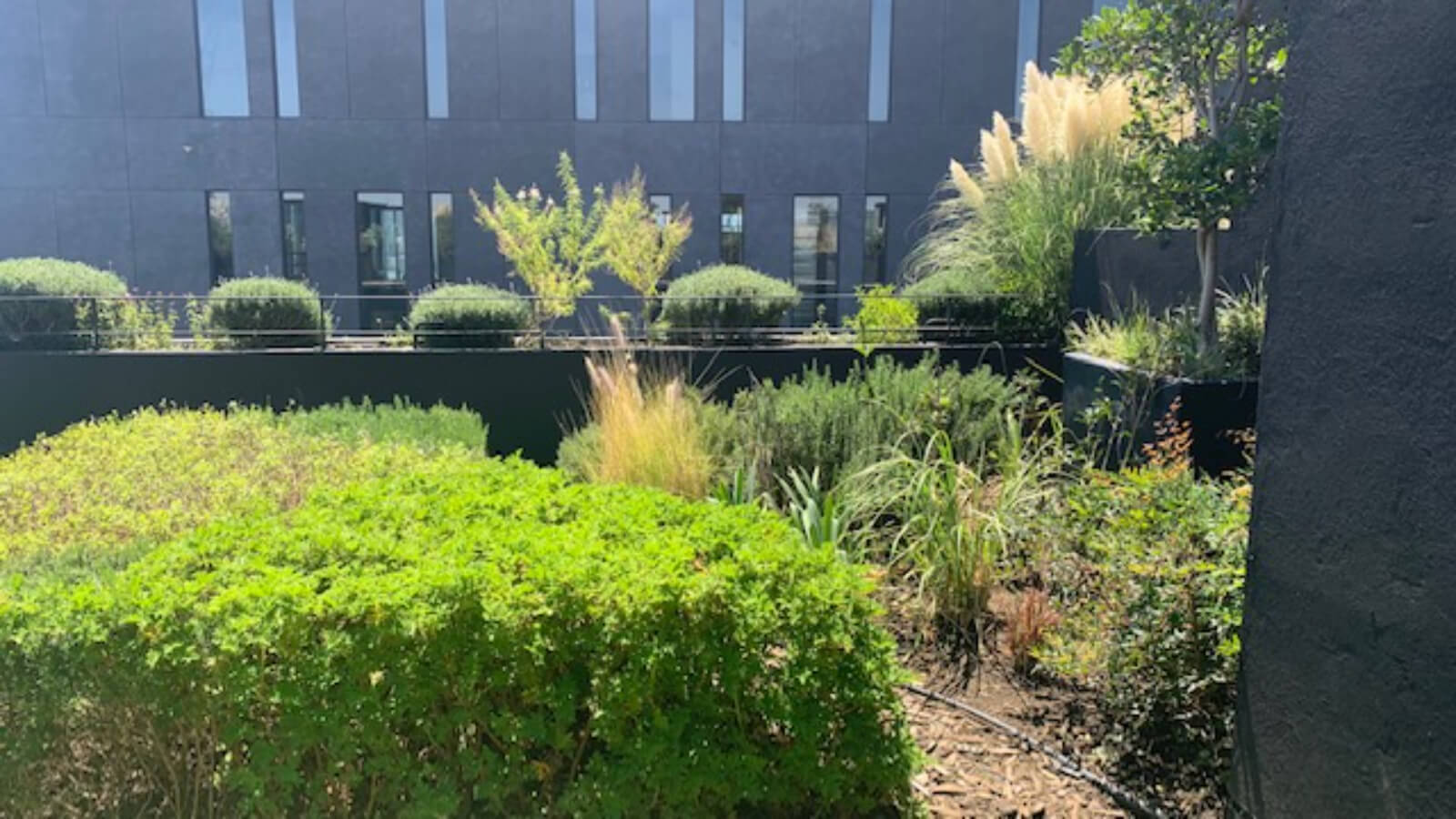 204 m2 condo with high ceilings, in Bosque Real, pet-friendly, covered pool, spa, playground, Huixquilucan Mexico City