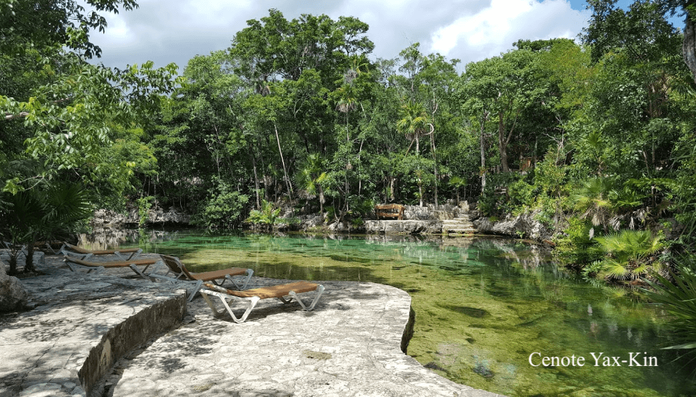Condo in Art House Reduced Price, private pool, wine cellar, spa, art gallery, in Aldea Zama, for sale in Tulum.