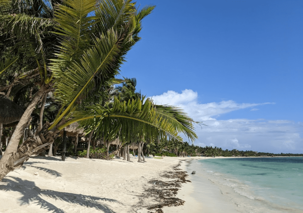 Condo in Art House Reduced Price, private pool, wine cellar, spa, art gallery, in Aldea Zama, for sale in Tulum.