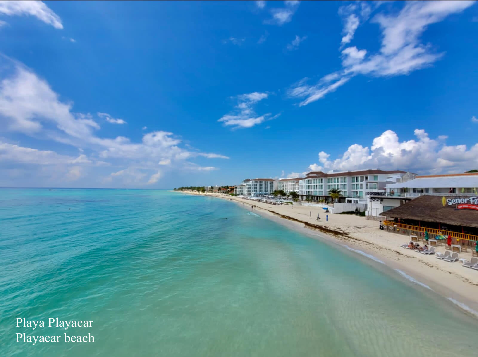 Ocean view condo, pool, 350 meters from the beach, pool, art gallery, unique design, roof garden with jacuzzi, for sale in Playa del Carmen.