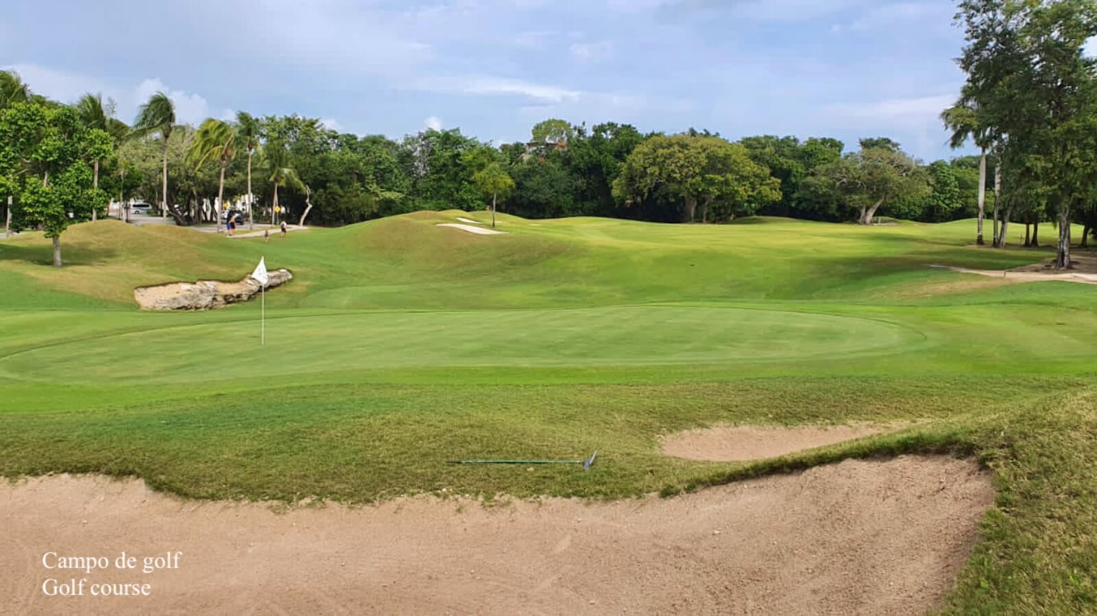 Ocean view condo, pool, 350 meters from the beach, pool, art gallery, unique design, roof garden with jacuzzi, for sale in Playa del Carmen.