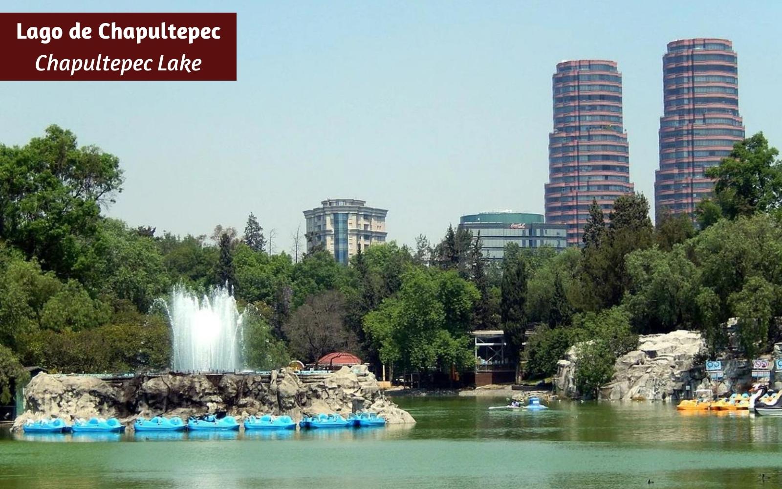 Apartment with pool, gym, for sale within Parque la Mexicana.