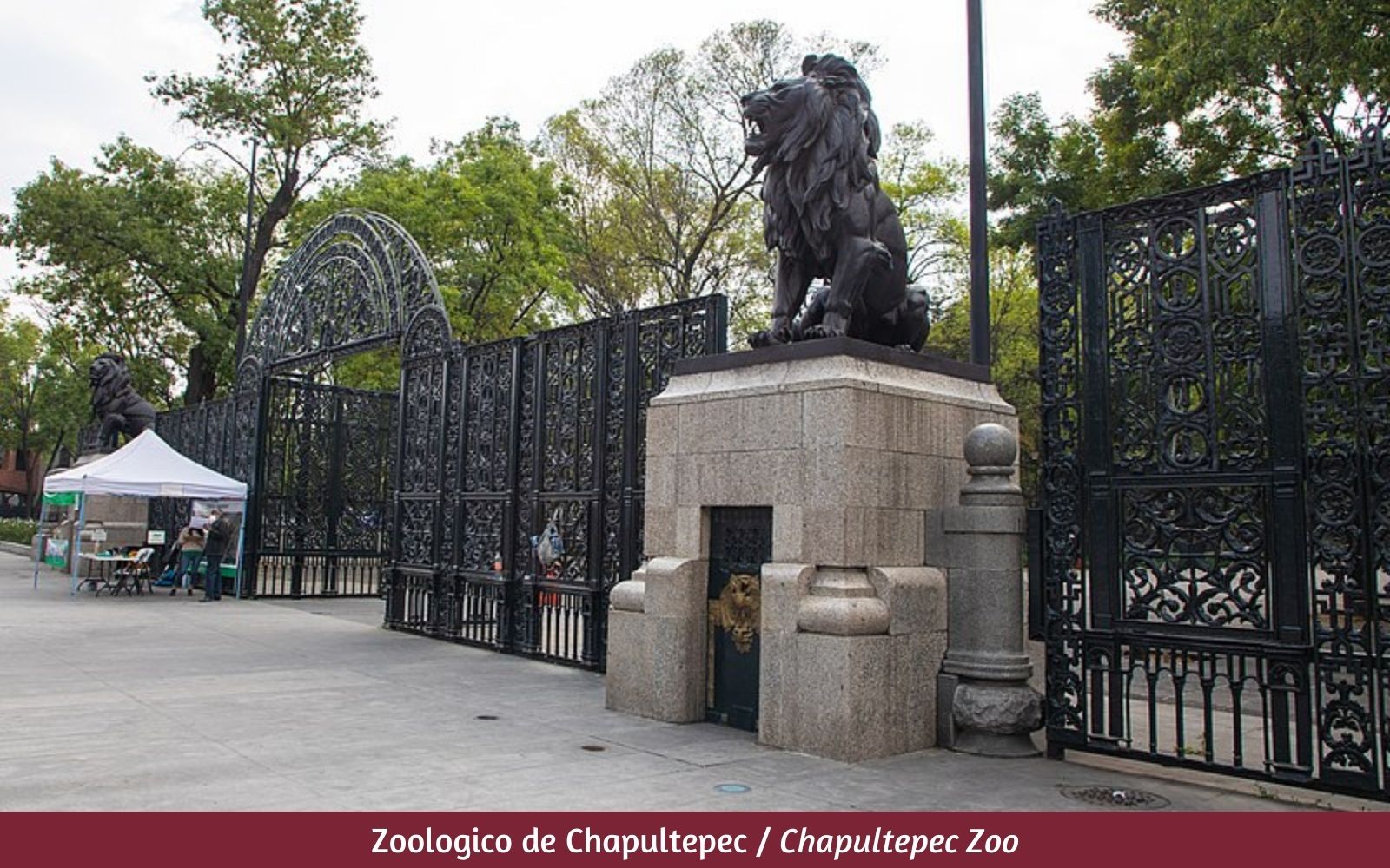 Luxury Two-Level Condo with Terraces and Social Spaces for Sale, Polanco, CDMX