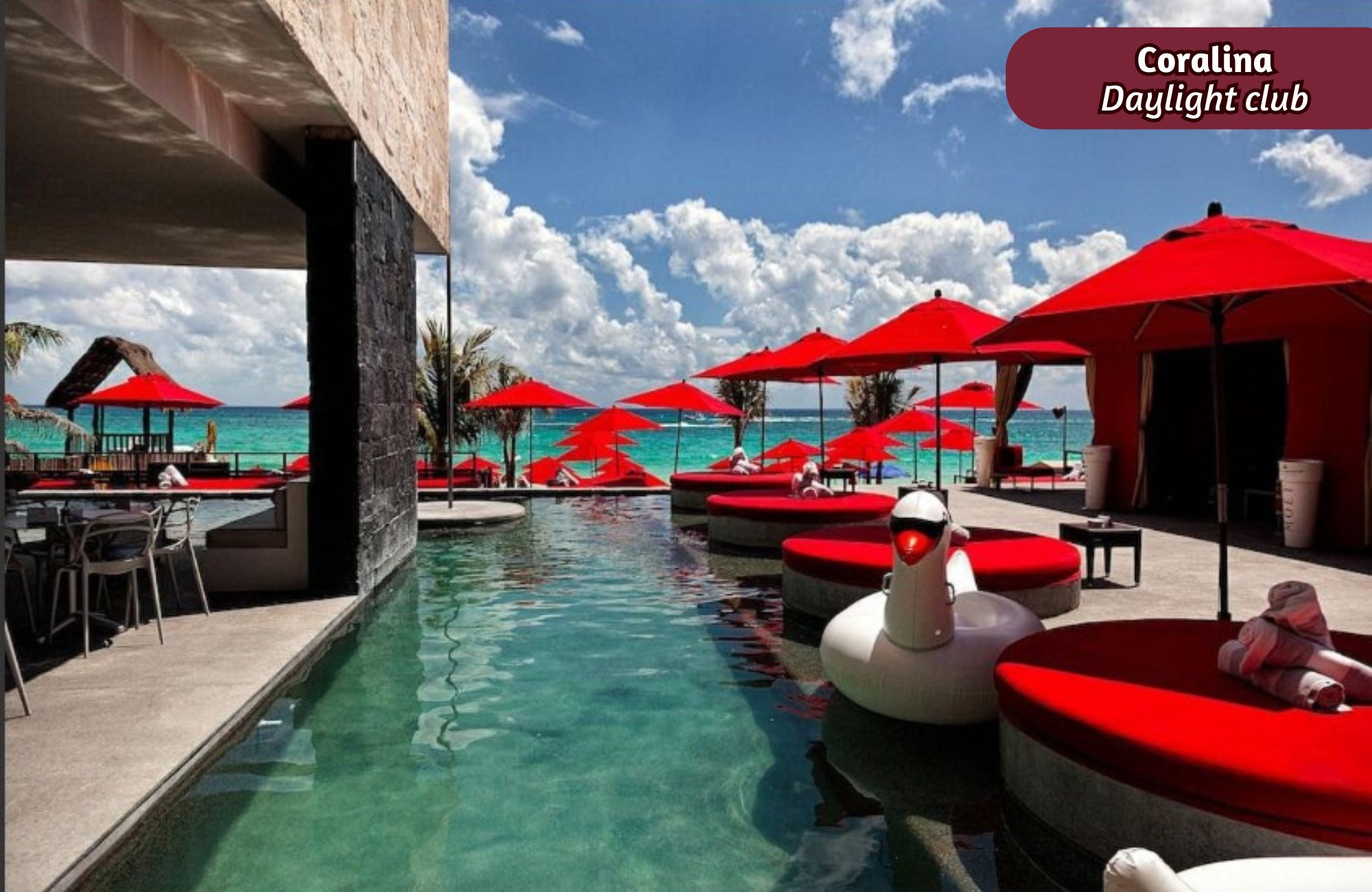 Estudio con alberca, Wet bar, en venta, Quinta Avenida, Playa del Carmen