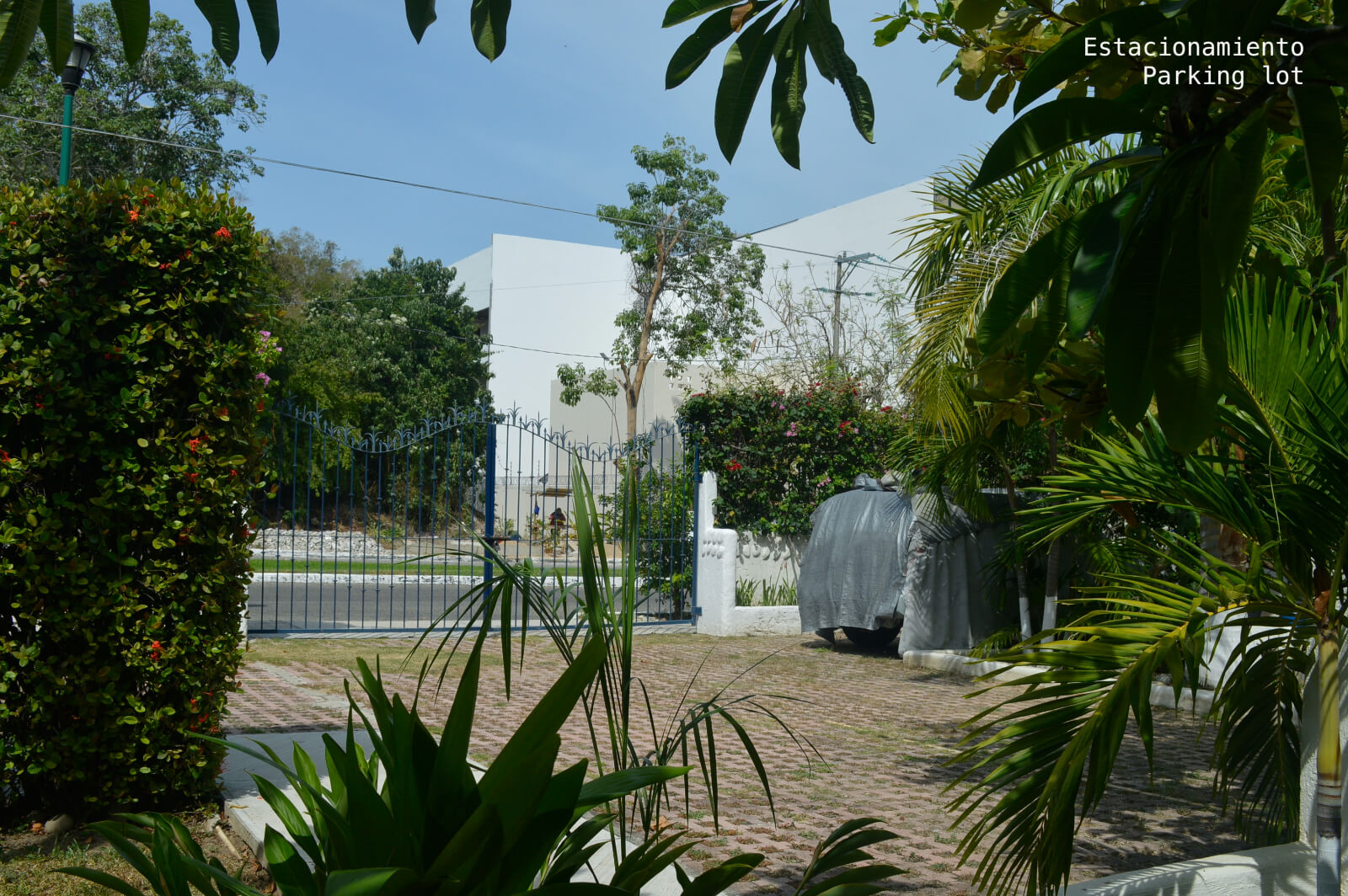 Luxury pet-friendly condominium with pool and gym for sale in Huatulco.