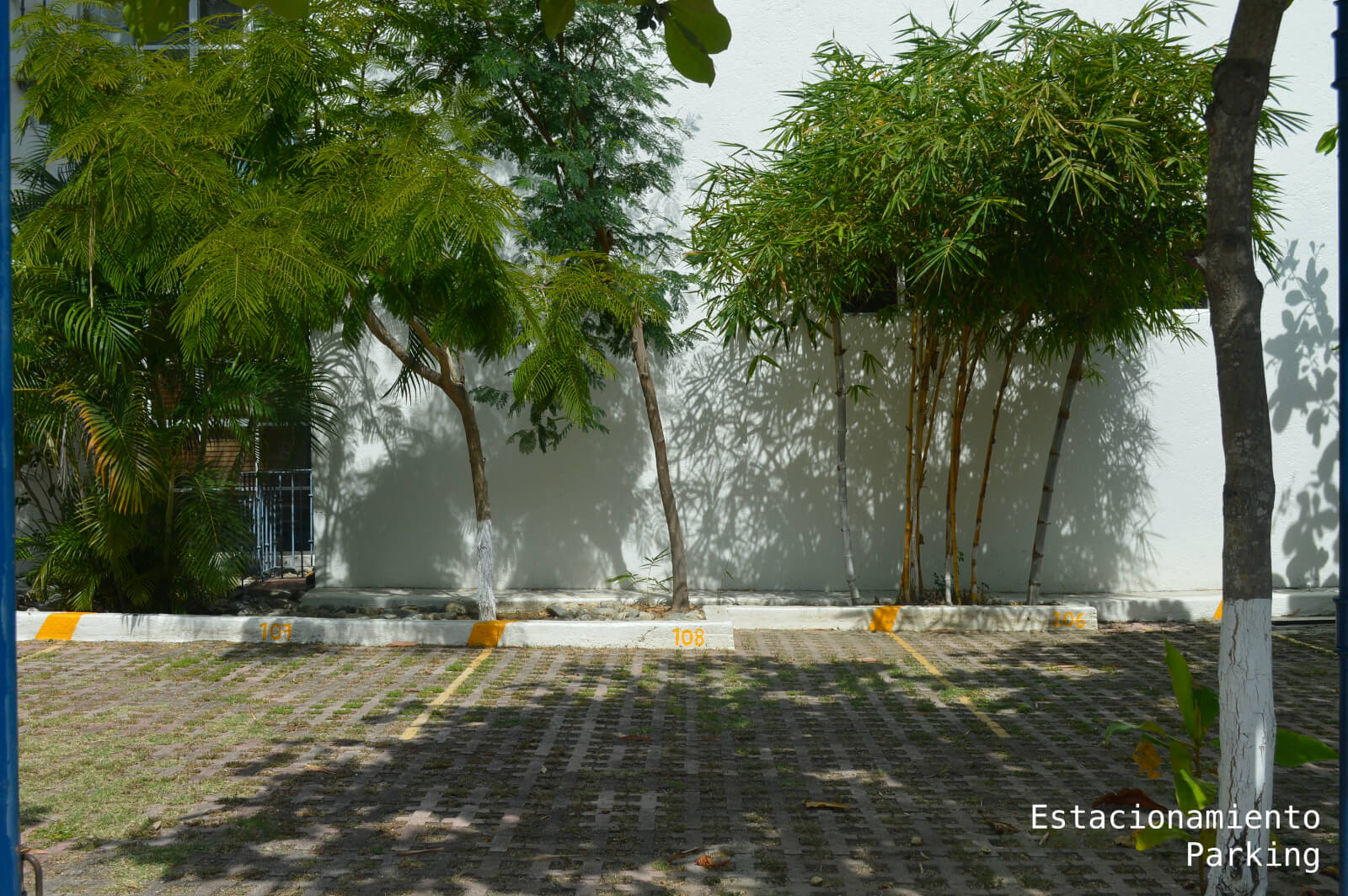 Luxury pet-friendly condominium with pool and gym for sale in Huatulco.