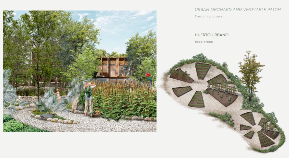 Terreno para desarrollador, 1,000 m2, a la venta en residencial con acceso al mar, en Sirenis, Akumal, Tulum