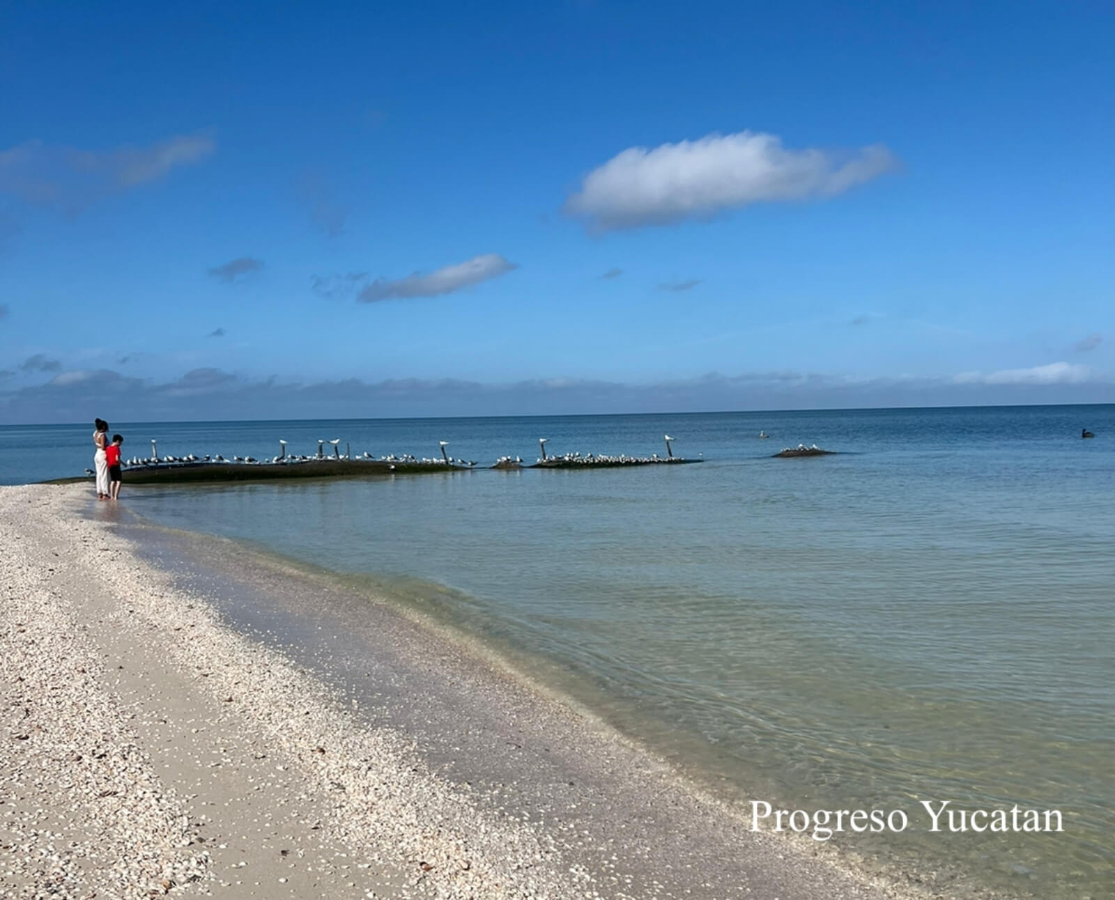 Townhouse with pool, solar panel, paddle, coworking, gym, and more for sale Merida