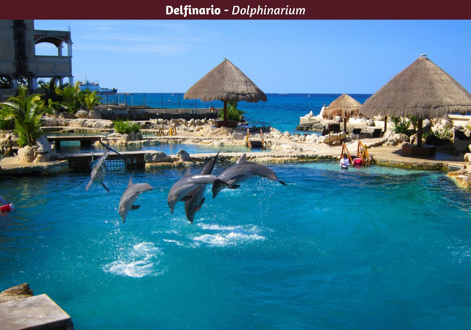 Lot for sale 5 minute drive to the beach, price reduction,10 de Abril, in Cozumel Island.