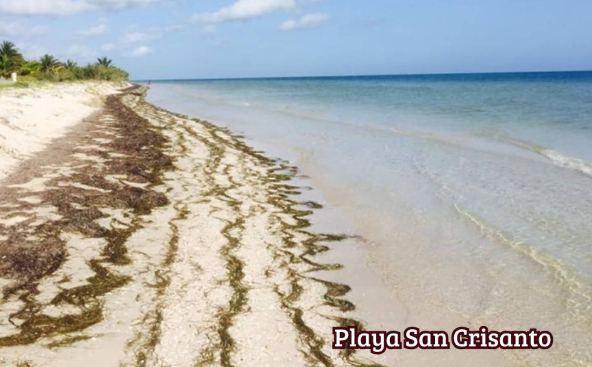 Ocean view condo for sale, Chuburn&aacute;, Yucat&aacute;n