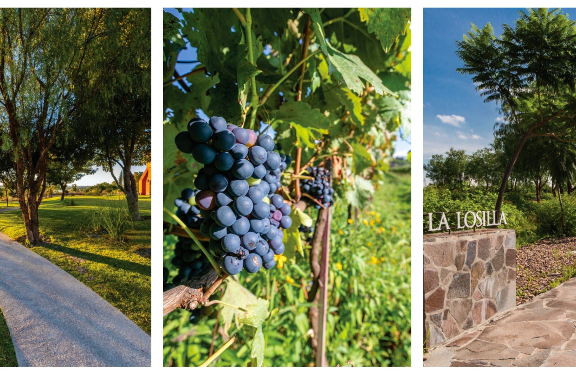 1,061 m2 lot in luxury community with amenities, for sale San Miguel de Allende.