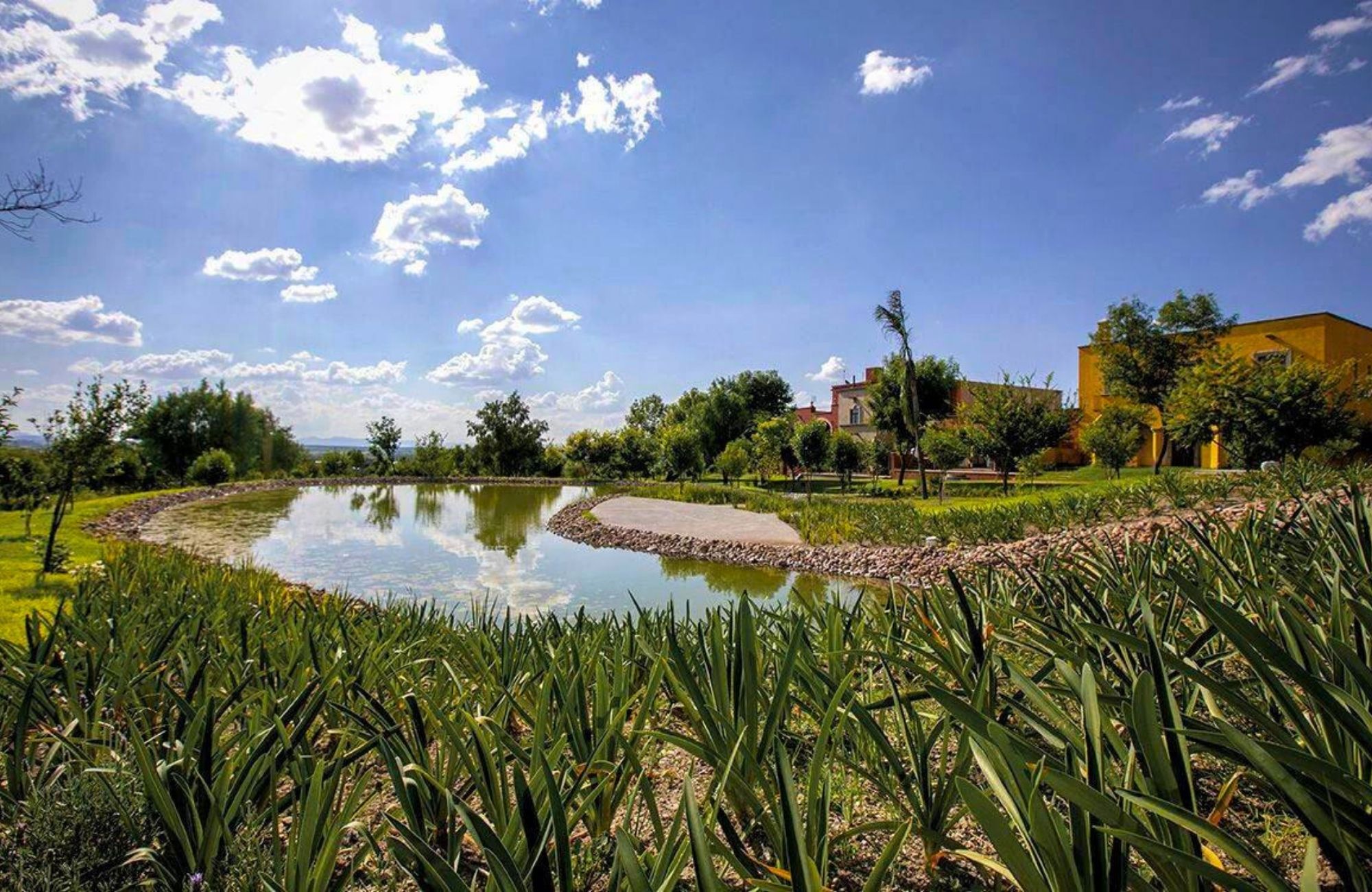 670 sqm lot, pool, gym, jacuzzi, for sale in San Miguel de Allende.