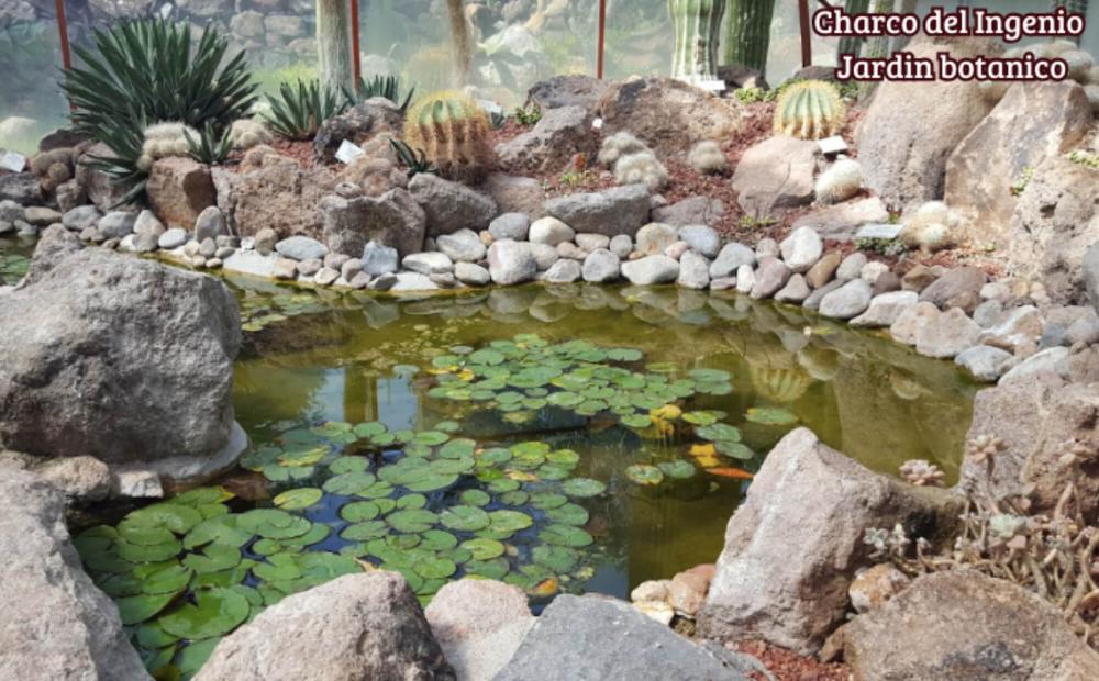 Condominium with private roof garden, pool, gym, pre-construction, for sale, San Miguel de Allende.