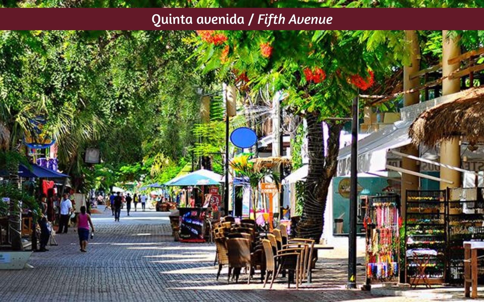 Studio with terrace, spa, pet friendly, for sale, Downtown, Playa del Carmen